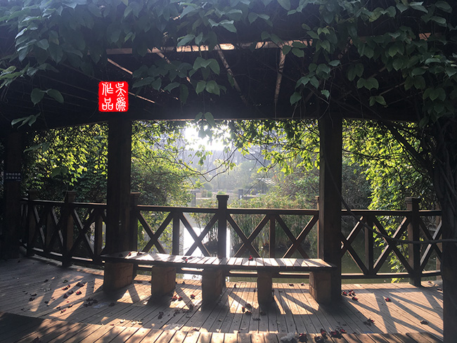 清晨的光